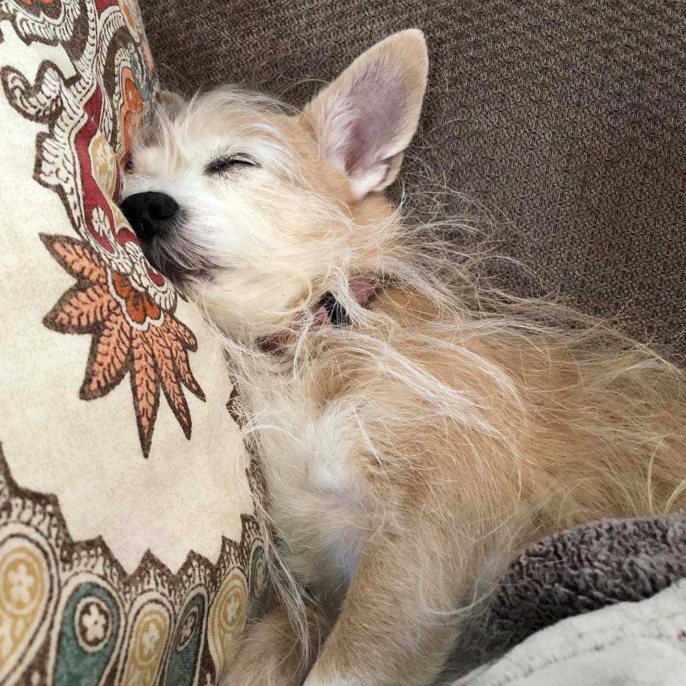 Meet your Posher, Marcia